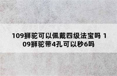 109狮驼可以佩戴四级法宝吗 109狮驼带4孔可以秒6吗